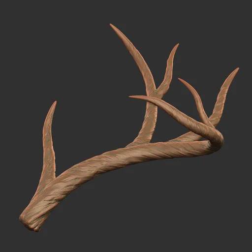 Wide Antler Spread