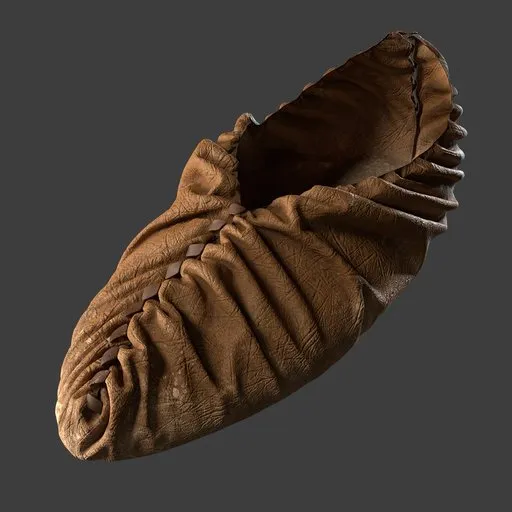 Shoe