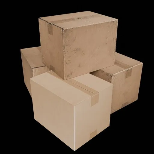 Arranged Carton Box