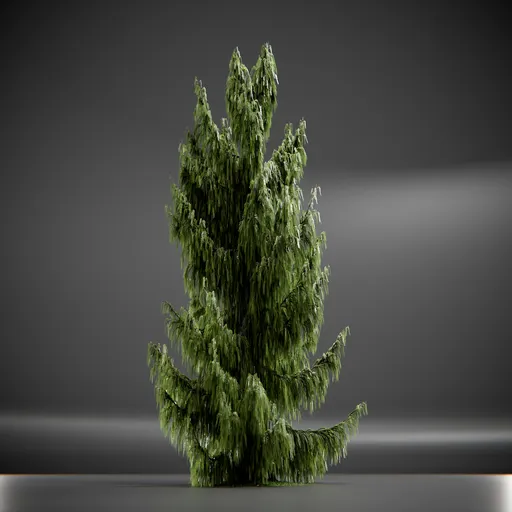 Tree Weeping Nootka Animated