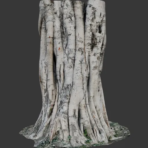 Tree scan