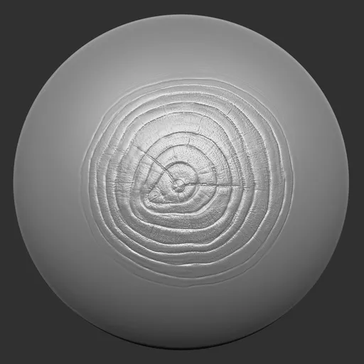 ER_Wood Brush 69