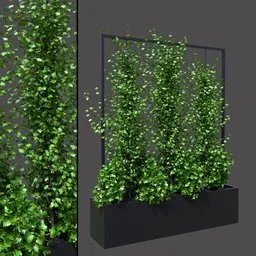 Green Ivy Divider