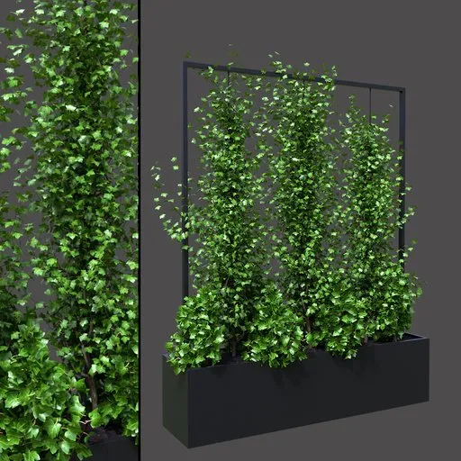 Green Ivy Divider