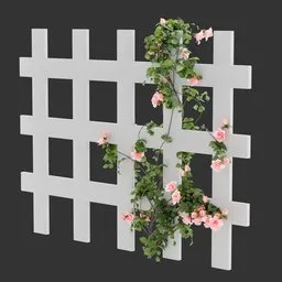 Flowering Divider Fence Climber Plant