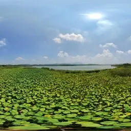 Clouds sunshine green