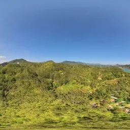 Highsky green forest