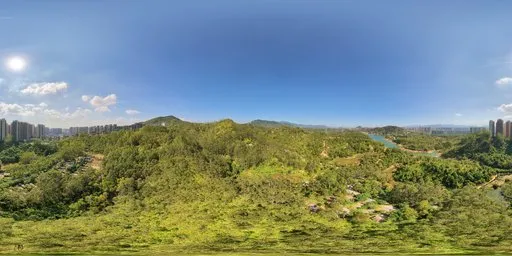 Highsky green forest