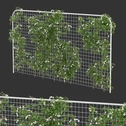 Horizontal Fence Ivy Flowering Q