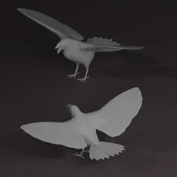 Crow