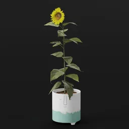 Flower Sunflower Sml Pot