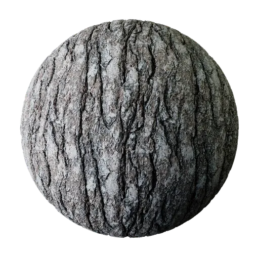 Tree Bark