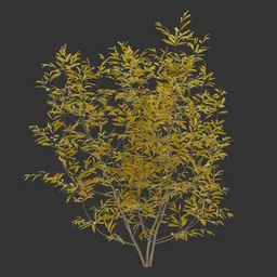 Bush Autumn Plant AQ