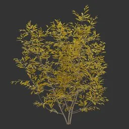 Bush Autumn Plant AQ