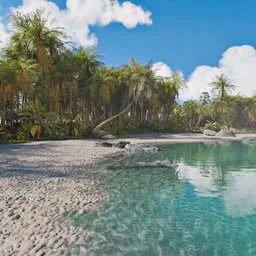 Tropical Beach Ocean
