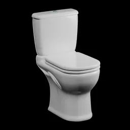 Modern Toilet