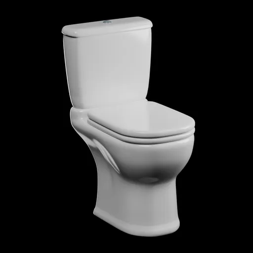 Modern Toilet