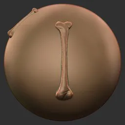 Tibia Bone
