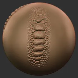 Belly Scute Plates