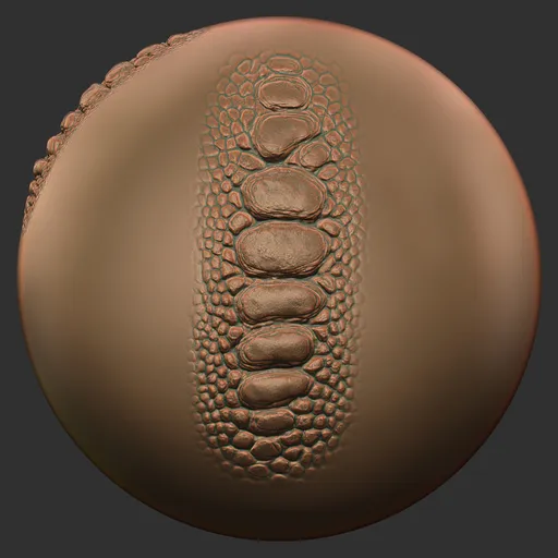 Belly Scute Plates