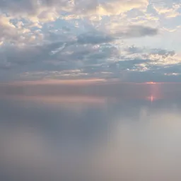 Citrus Orchard Road Pure Sky