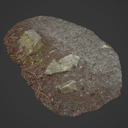 Highly detailed scan of forest floor terrain for Blender 3D environments.