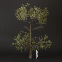 SJ-Nature Joy Pine Tree