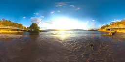 Riverbank Reeds HDRI