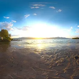 Riverbank Reeds HDRI