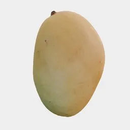 Ripe Mango