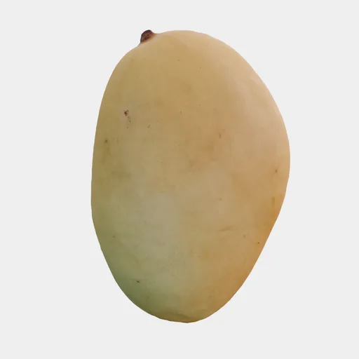 Ripe Mango