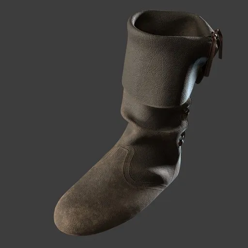 Shoe