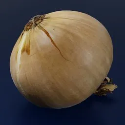 Photorealistic 3D yellow onion model with detailed skin texture and layers for Blender visualizations.