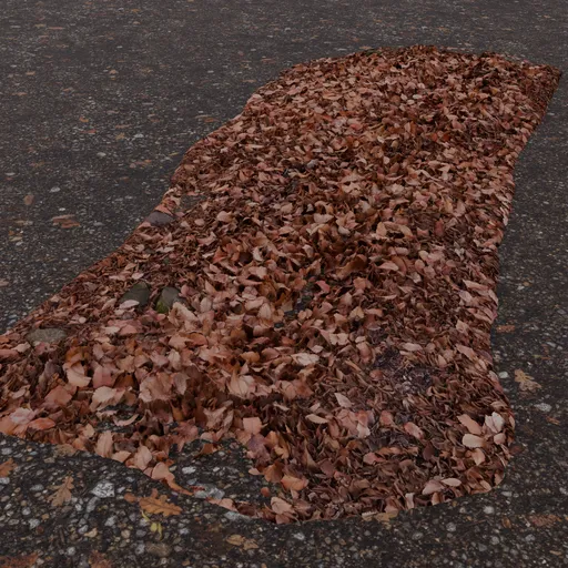 Fallen Leaves