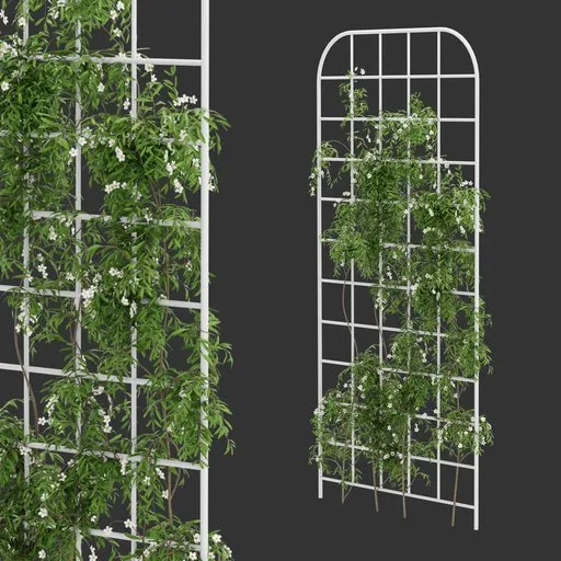 Grid Ivy Flowering Plant