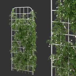 Vertical Grid Ivy Flowering Q