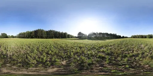 Field in forest 2, 17k, unclipped