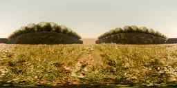 16K high-resolution HDR panorama for realistic lighting in 3D scenes, showcasing a clear, sunny outdoor morning in nature.