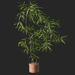 Detailed 3D Bamboo Plant Model for Indoor Decoration with Natural Light Rendering, Optimized for Blender.