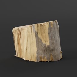 Log Chopping Stump 2