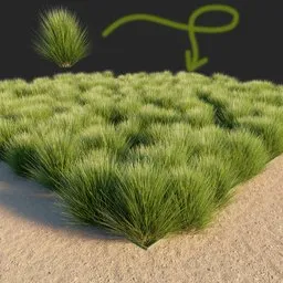 Grass bush