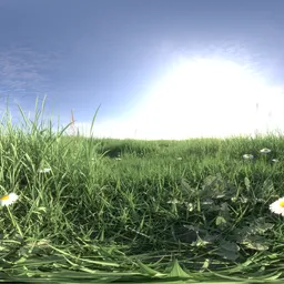 Morning light grass 16k