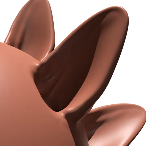 Cat's Ear VDM