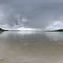 River Water Tree Cloudly