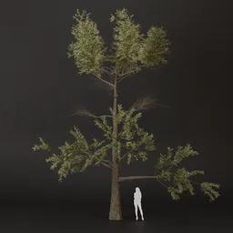 SJ-Dreamy Summer Tree