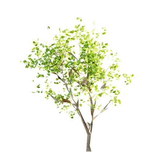 Thumbnail: Tree LOD 3