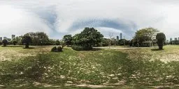 Sunny urban park HDR with lush grass and tree for realistic scene lighting