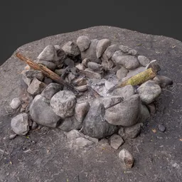 Firepit in Nature Photoscan