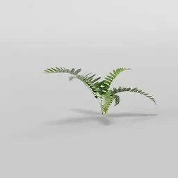 Photo-realistic 3D fern model with 1k textures, low poly design, and translucent leaves for Blender rendering.