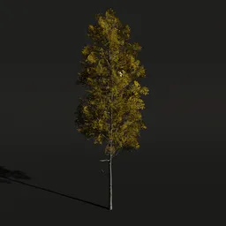 Detailed Blender 3D Quaking Aspen tree model with high-resolution textures, perfect for CG landscapes.